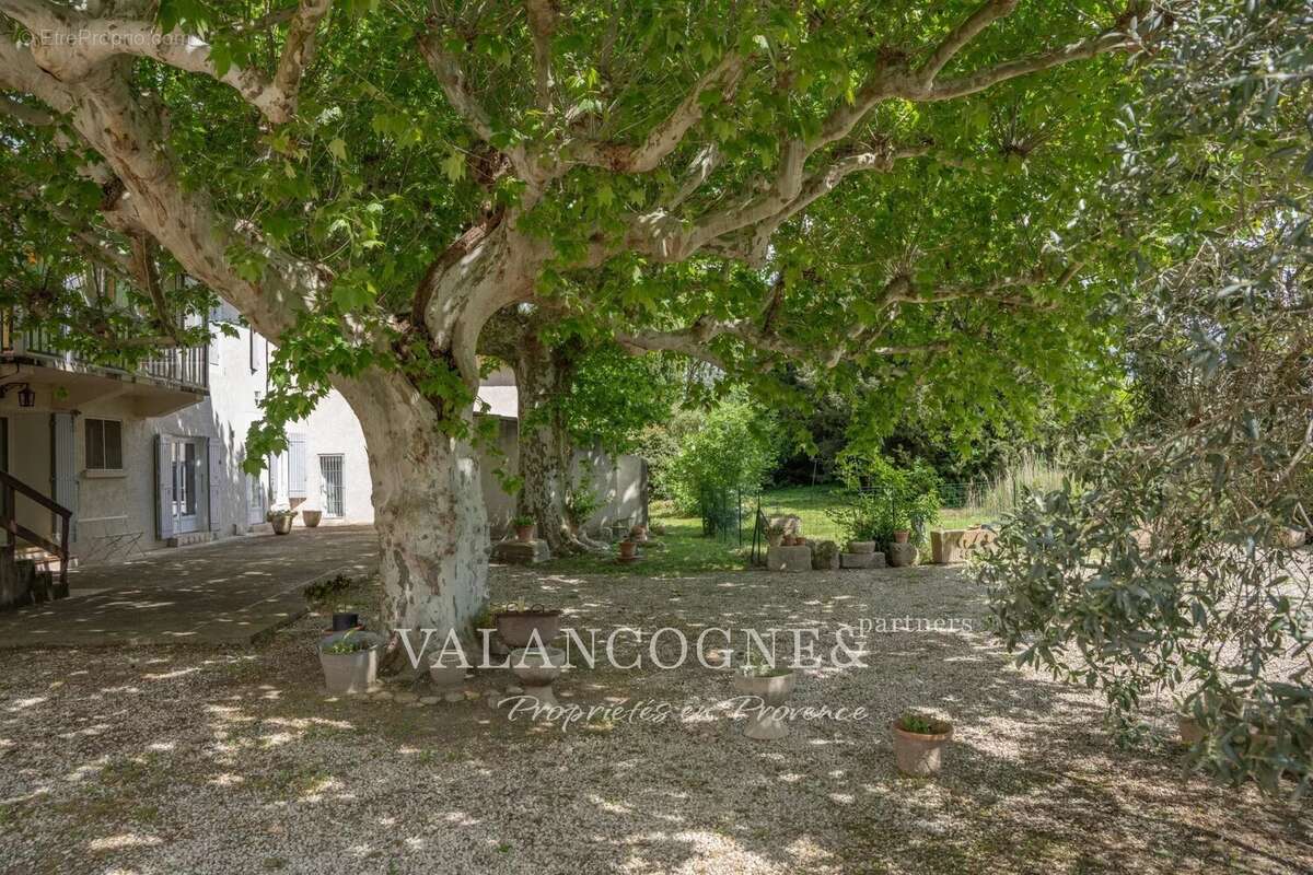Mas ancien proche Alpilles - photo 7