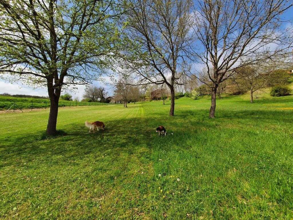 Maison à SAINT-JEAN-POUTGE