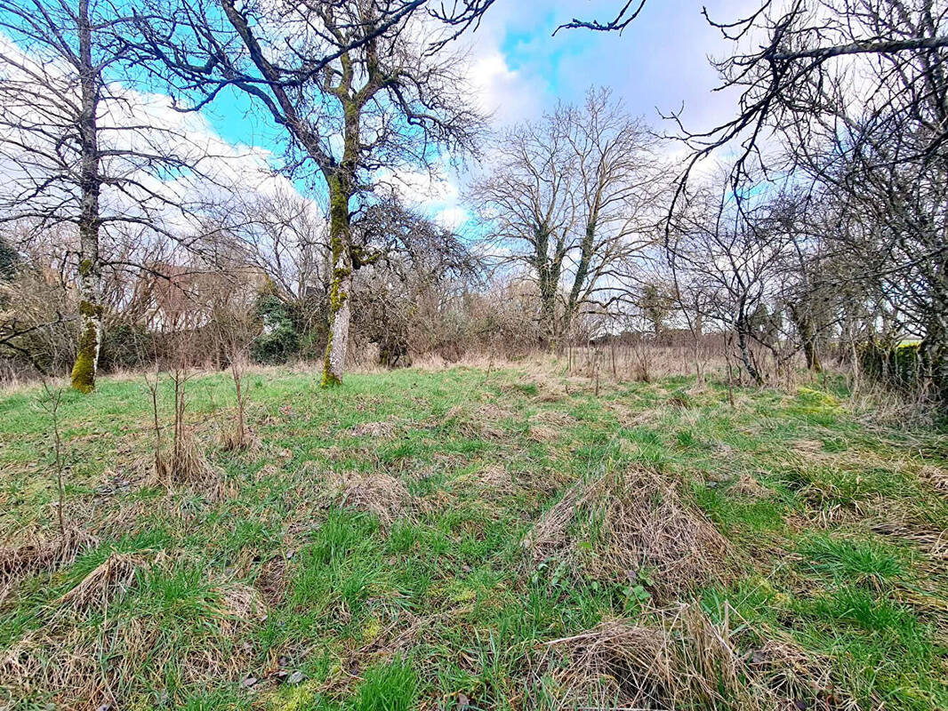 Terrain à SEMOUTIERS-MONTSAON