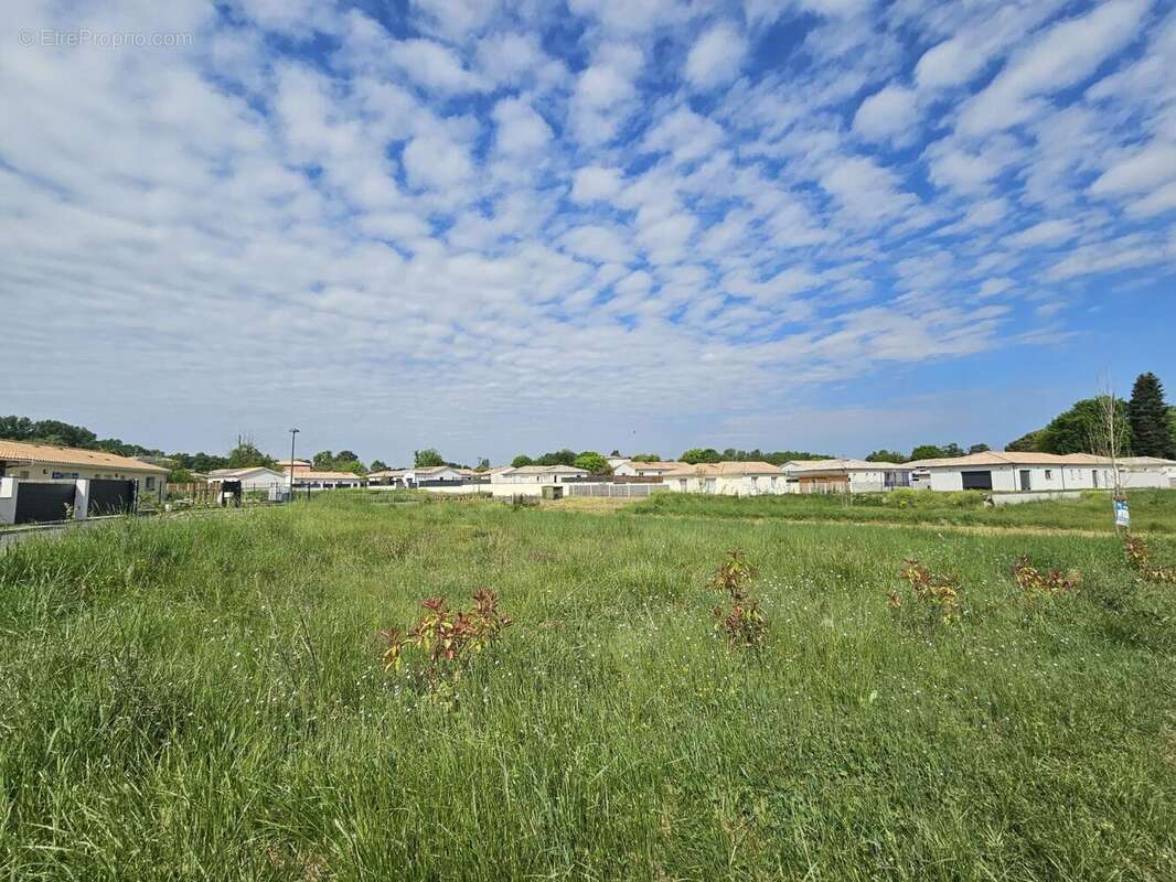 Terrain à MARTILLAC