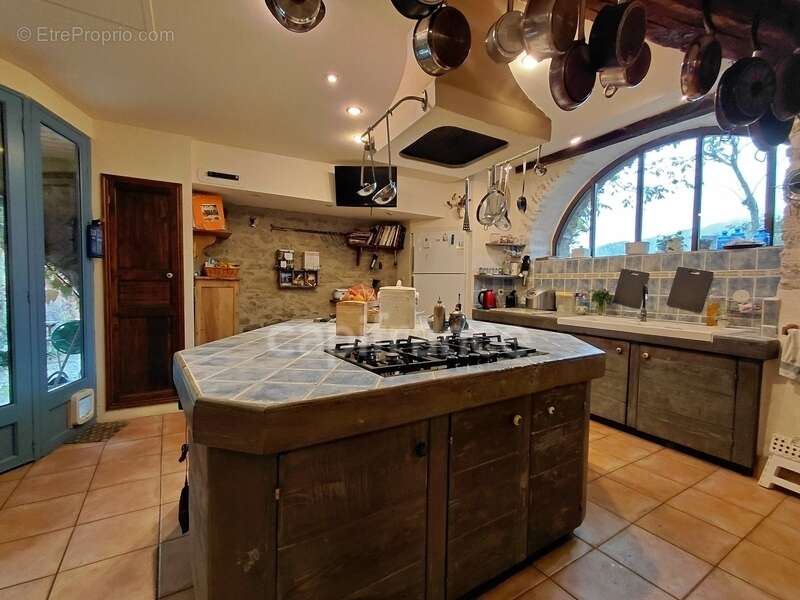 Maison à VIEILLEVIE