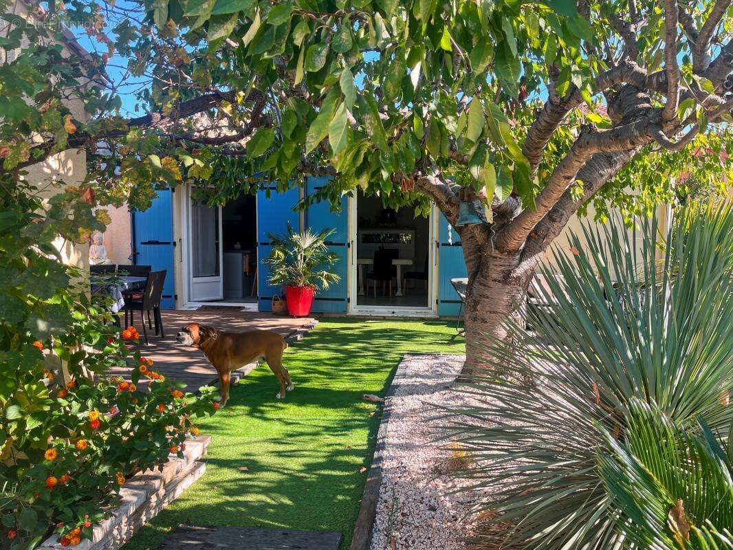 Maison à MARSEILLAN