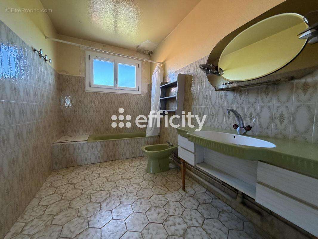 Maison 275 m² à Neronde-Sur-Dore  - photo 14
