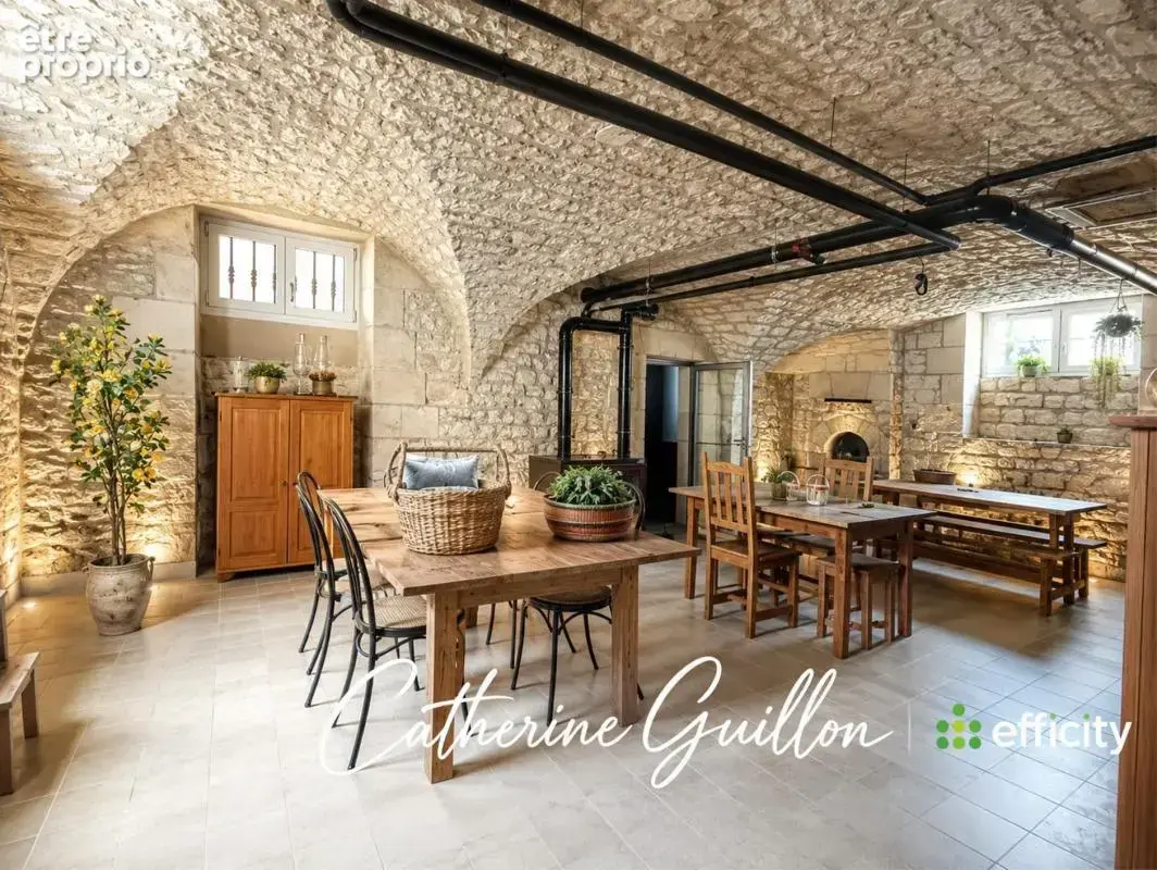 Maison 18 pièces 560 m² à vendre à Ingrandes (86220) - photo 22