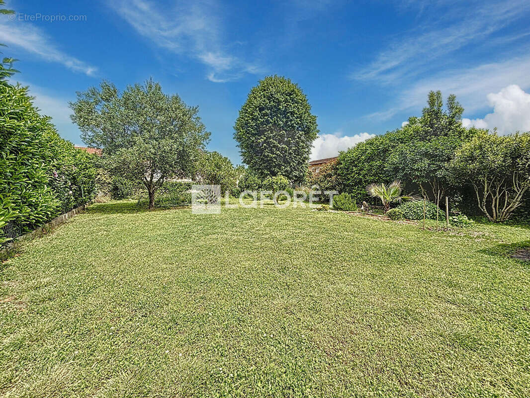 Maison à BUZET-SUR-TARN