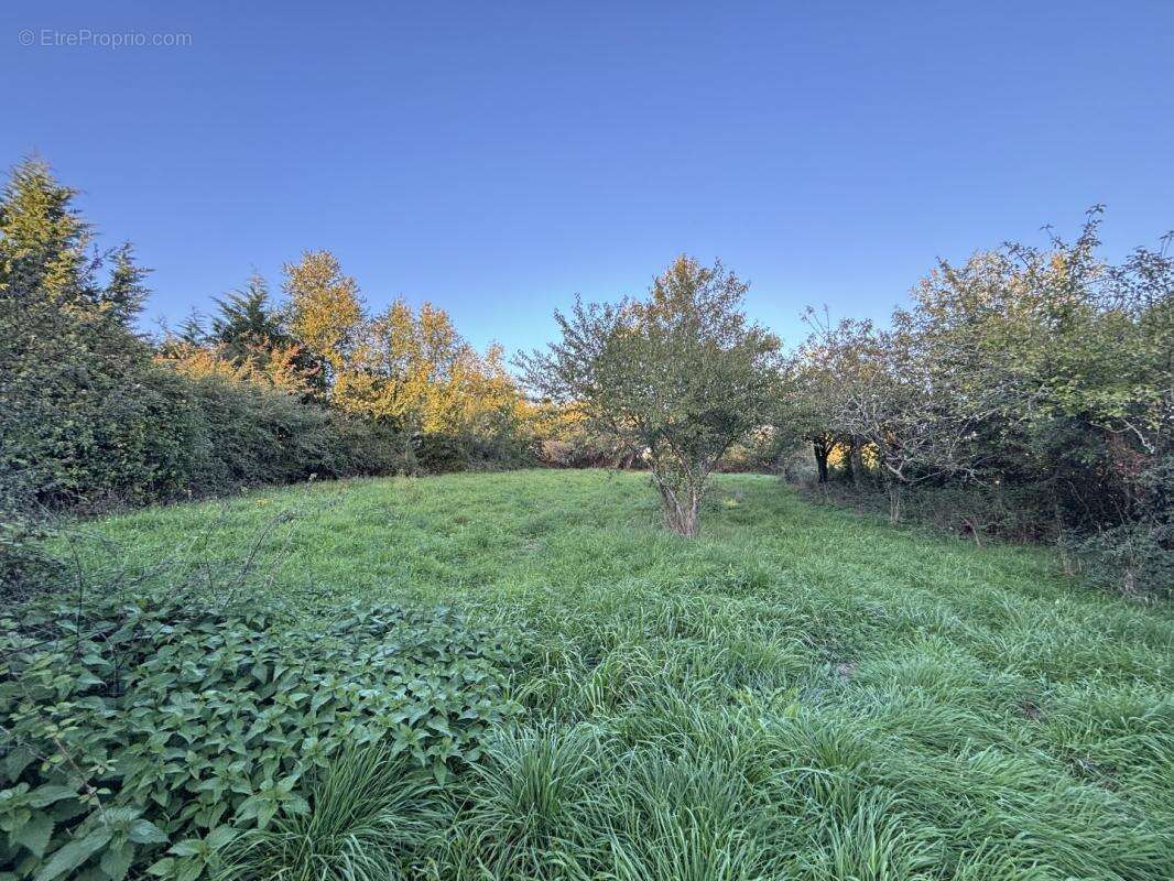 Maison à SAINT-GOURSON