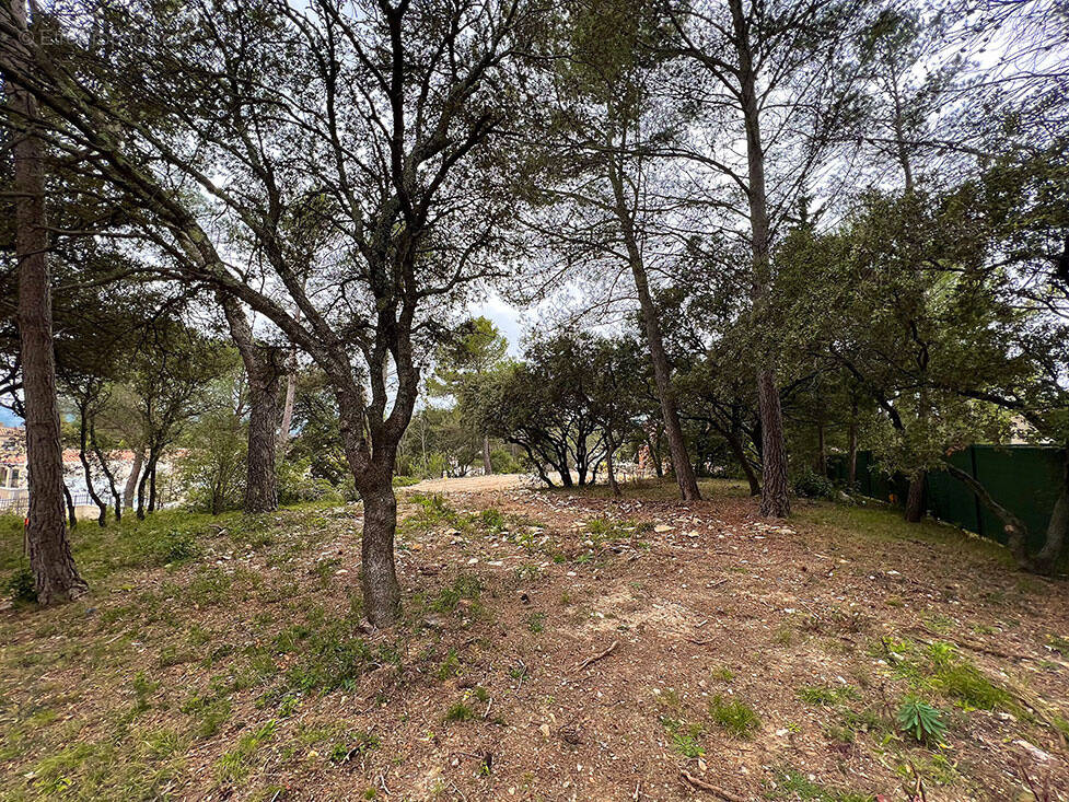Terrain à SAINT-GELY-DU-FESC