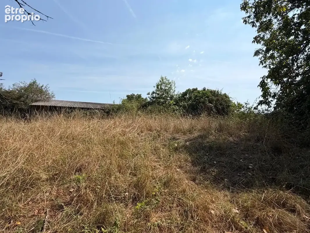 Bâtiment Agricole  900m2 - photo 5