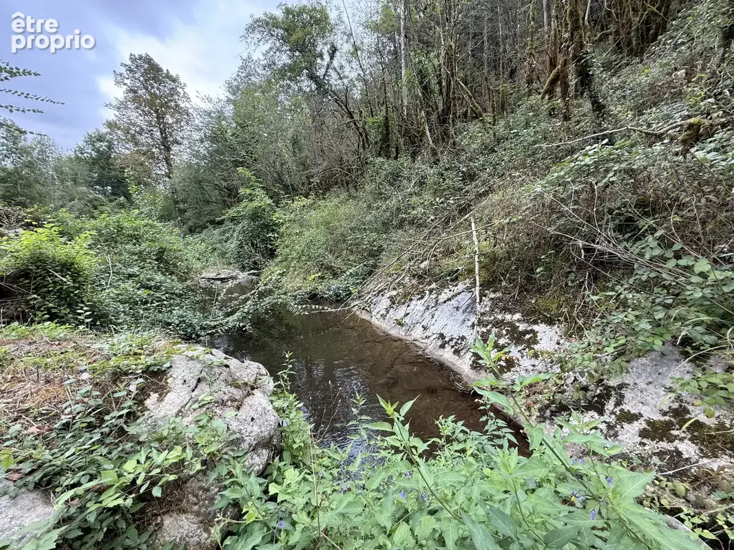 Propriete d'exception - mas de type f6 sur 41 hectares - sud de la france - photo 30