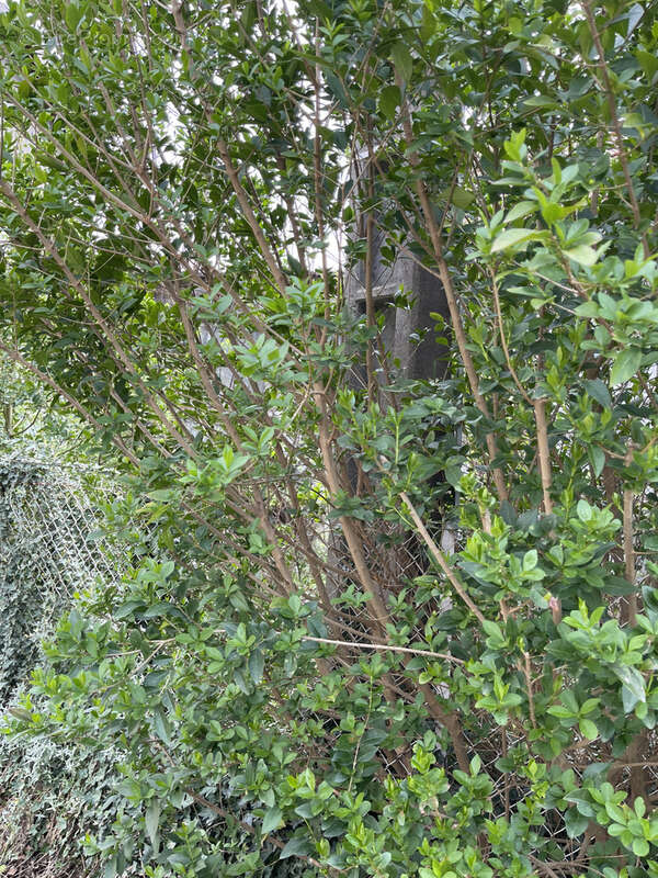 Appartement à GRANGES-SUR-VOLOGNE