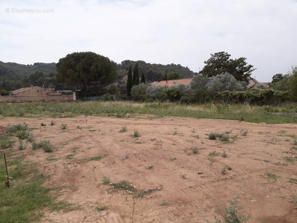 Terrain à CESSENON-SUR-ORB