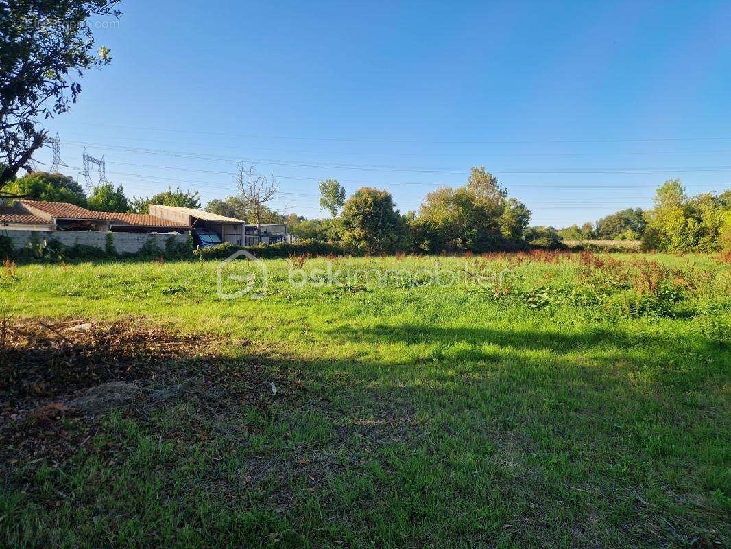 Terrain à GRANZAY-GRIPT