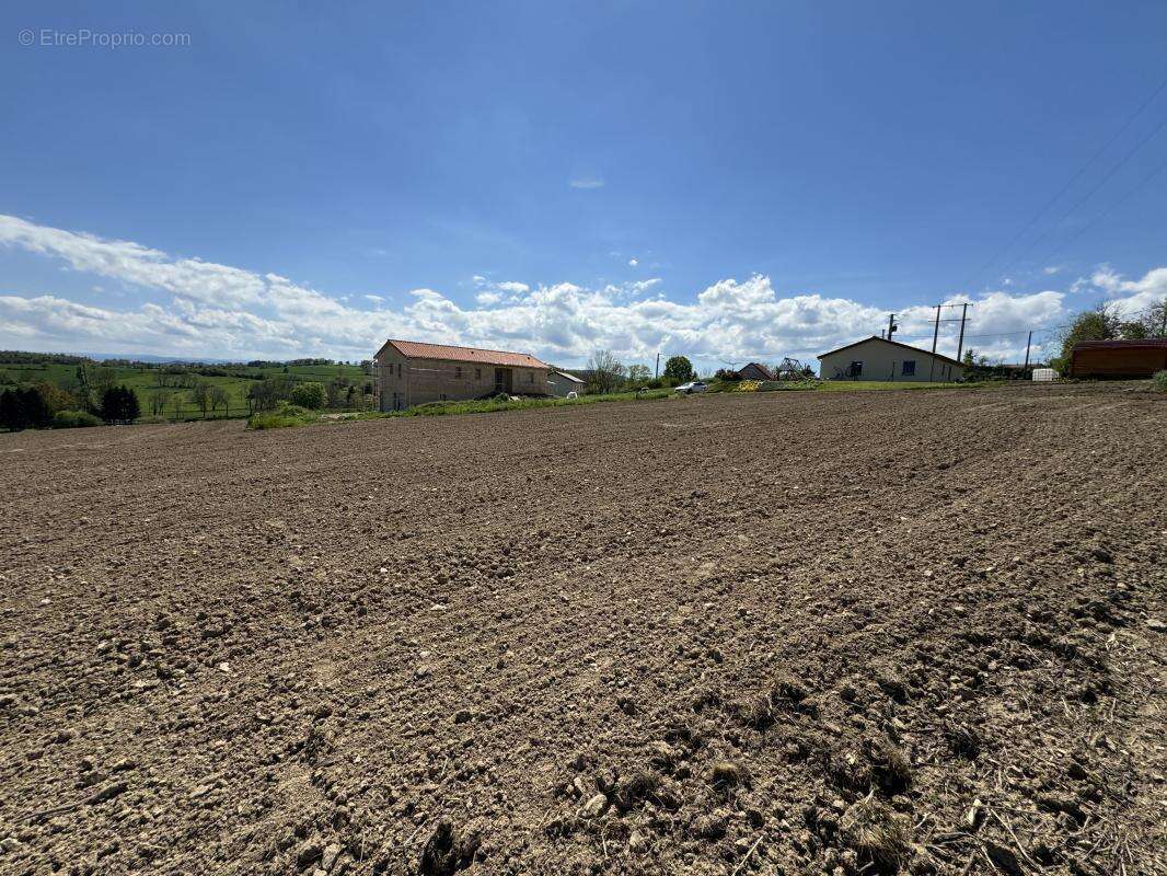 Terrain 1 339 m² à vendre à Cremeaux (42260) - photo 5