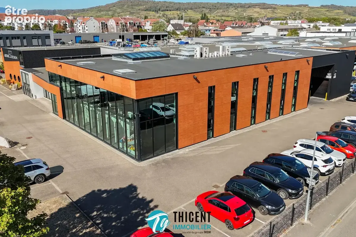 Commerce 4 775 m² à vendre à Molsheim (67120) - photo 7