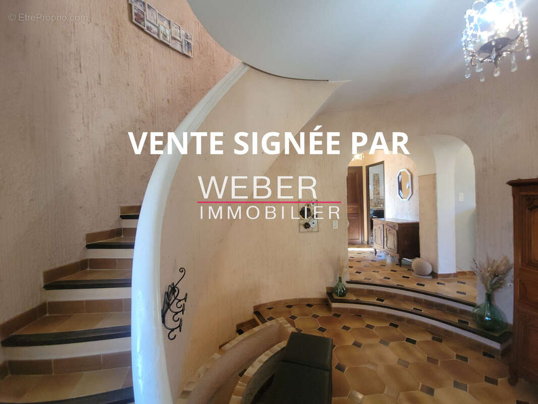 OLLIOULES - Maison familiale - Garage et caves - Terrain 1900 m2 - photo 9