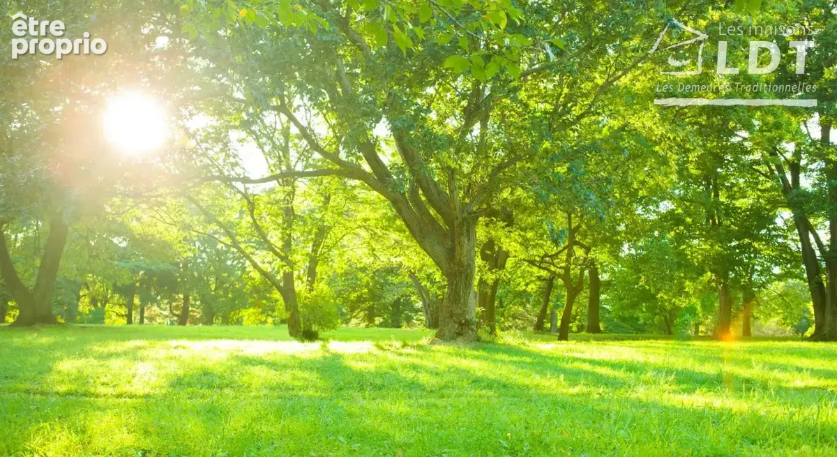 Photo Terrain à Pecqueuse au prix de 175 000€