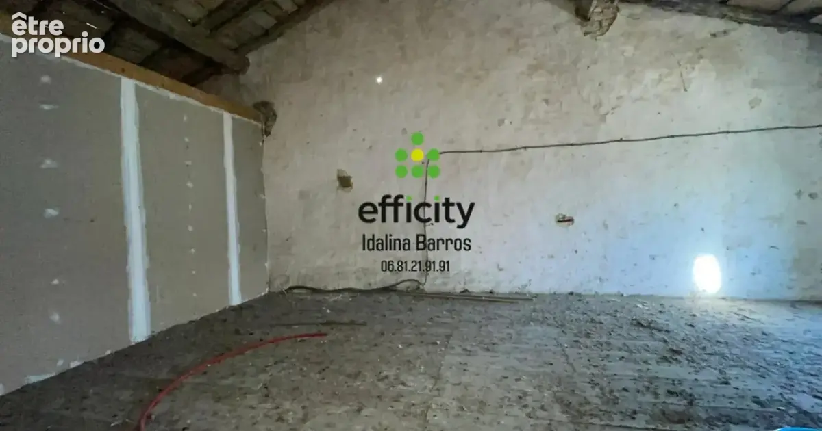 Maison 8 pièces 350 m² à vendre à Aigre (16140) - photo 18