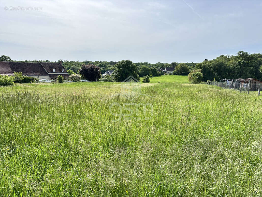 Terrain à SAINT-EPAIN
