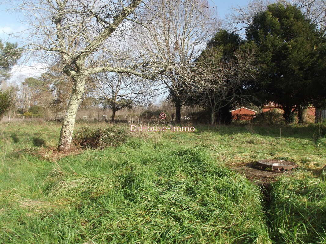 Terrain à CISSAC-MEDOC