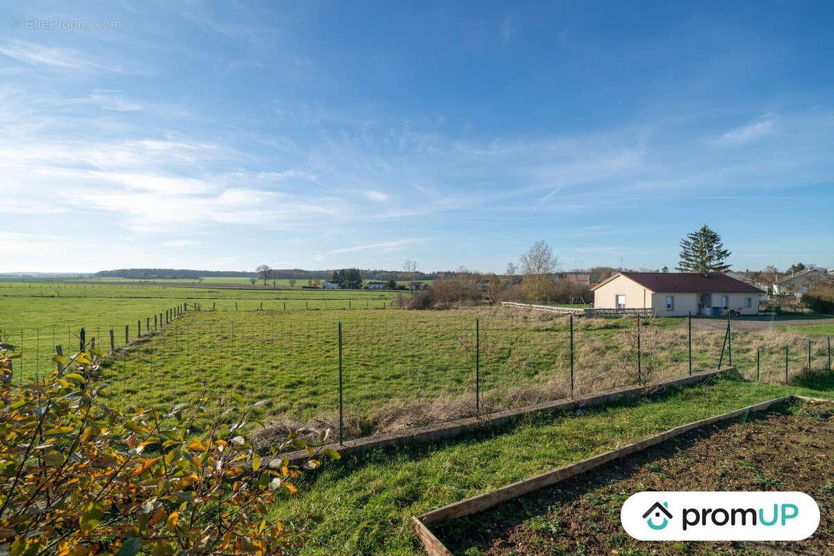 Terrain à RAMBERVILLERS