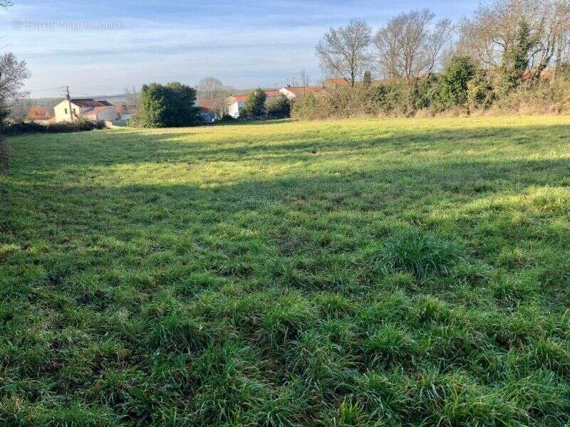Photo 2 - Terrain à NACHAMPS