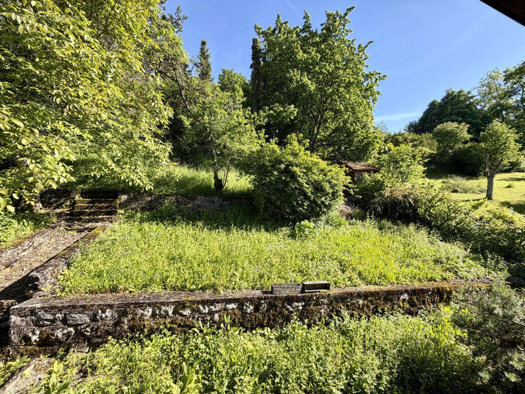 jardin - Maison à COLLONGES-SOUS-SALEVE