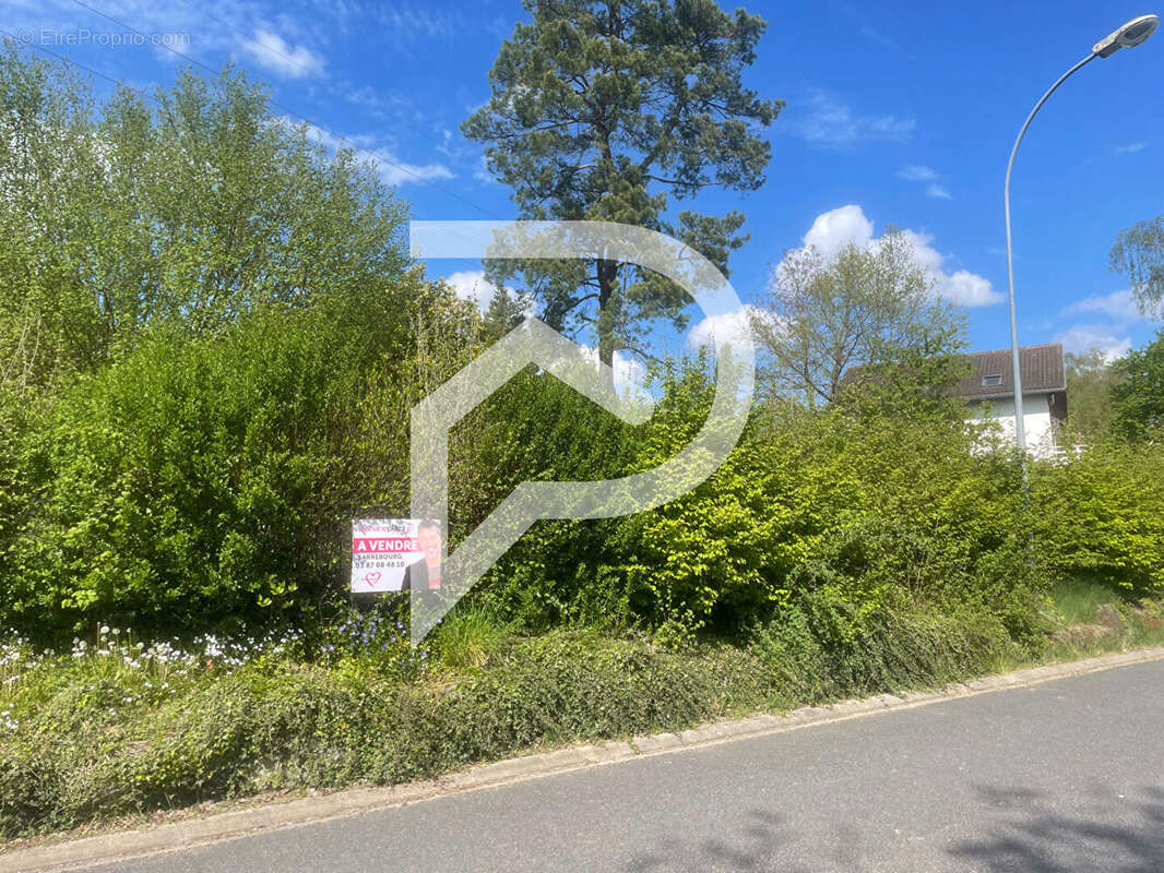Terrain à SARREBOURG