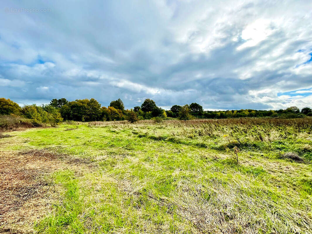 Maison à LAVAUSSEAU
