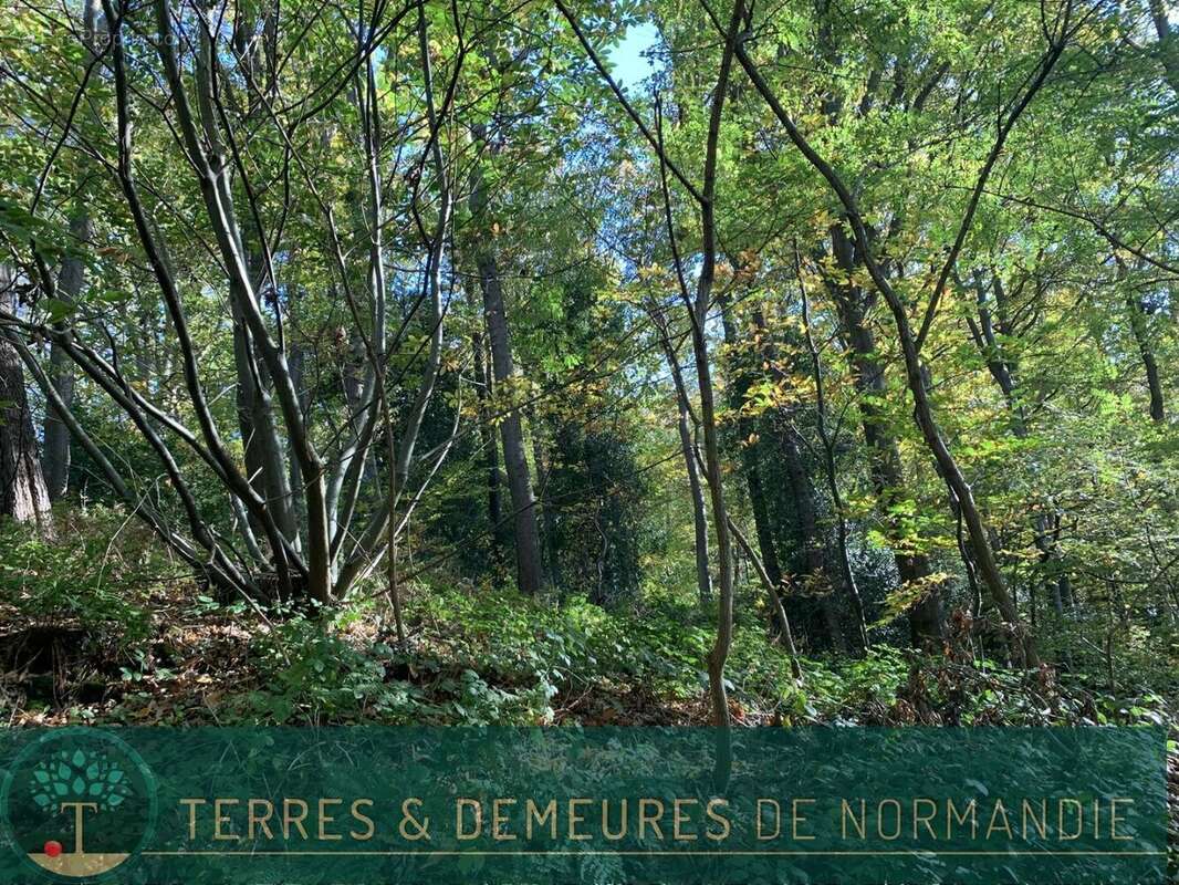 Terrain à BEUZEVILLE