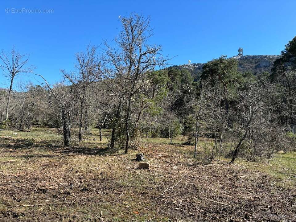Terrain 270 m² à Plan-D'aups-Sainte-Baume  - photo 2