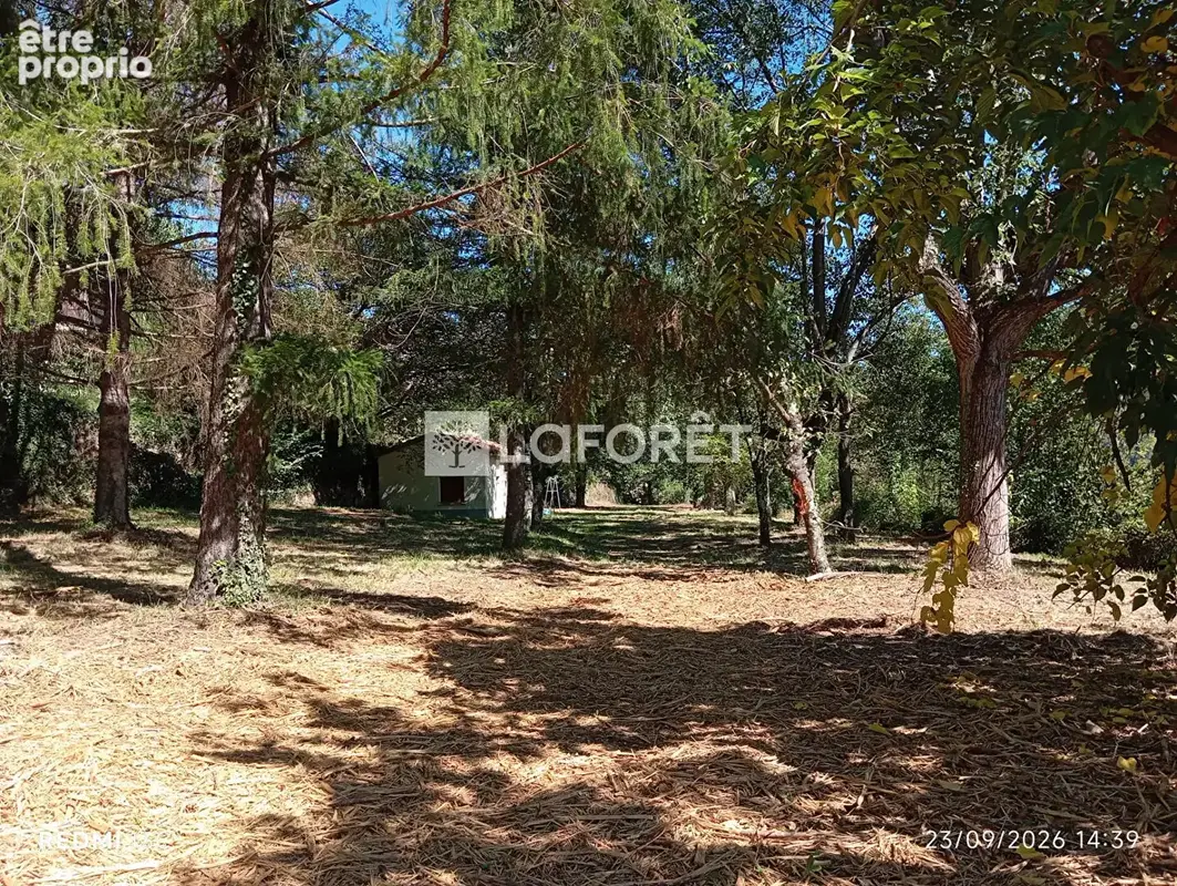 Ancien camping / 2,15 ha - prats de mollo - photo 8
