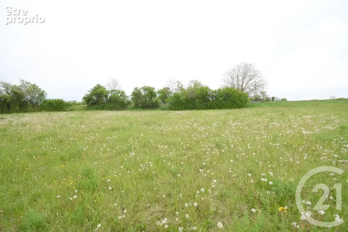 Terrain 2 080 m² à vendre à Cusset (03300) - photo 3