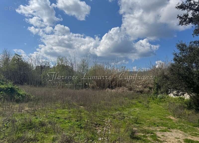 Terrain à SPELONCATO