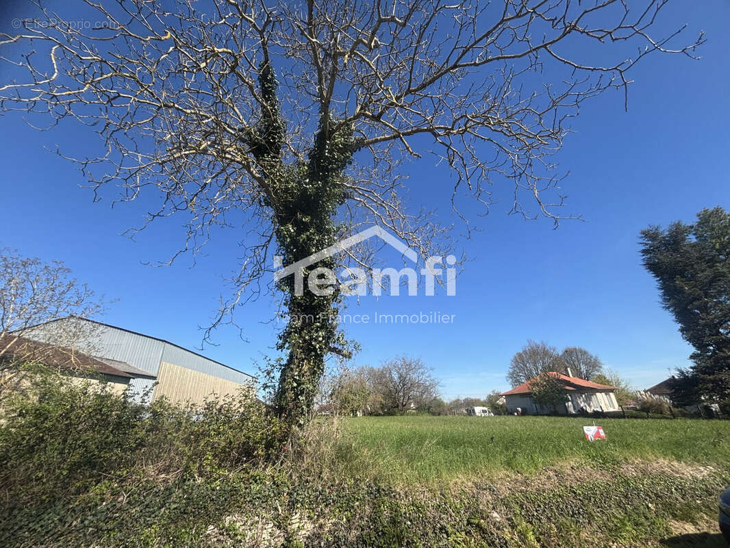 Terrain 4190 m² à Venesmes  - photo 6