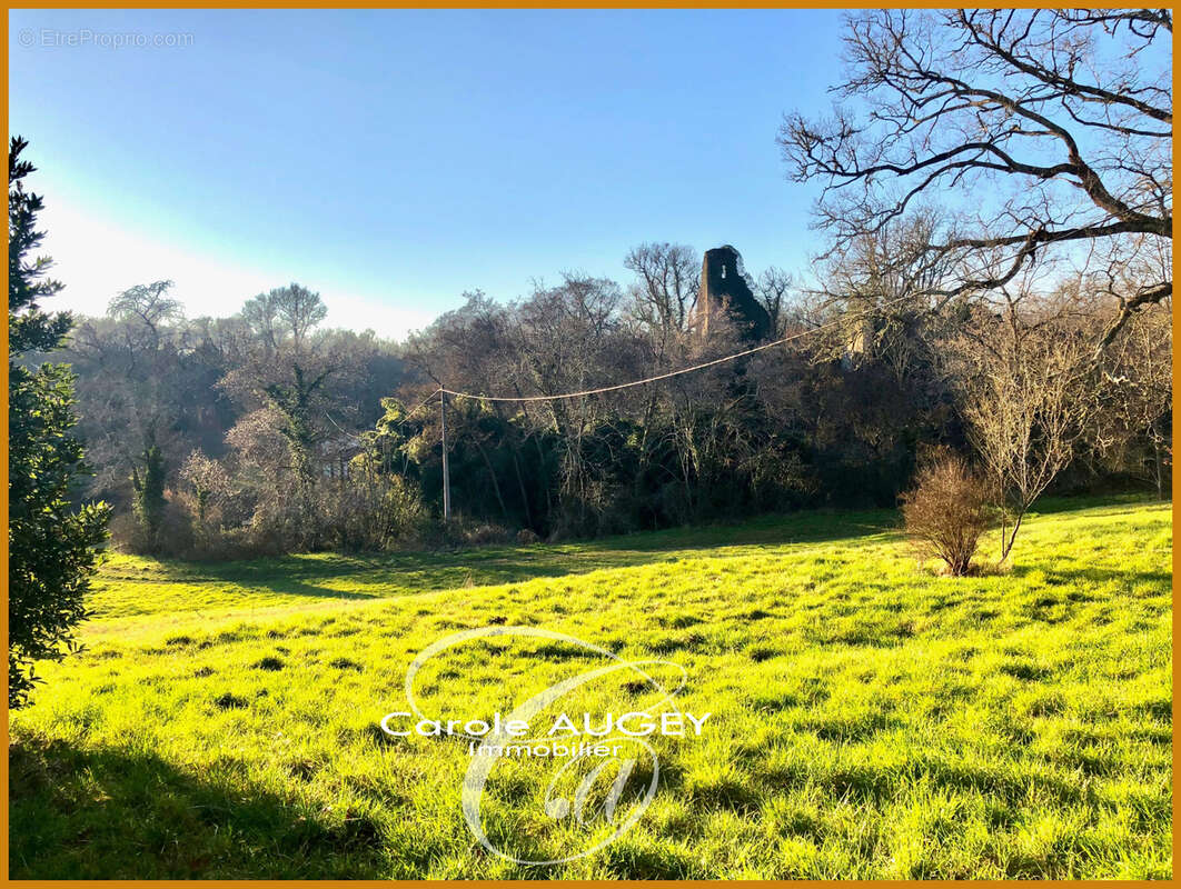 Maison à SAINT-LEGER-DE-BALSON