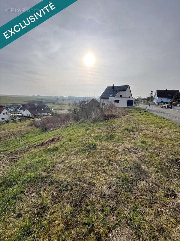 Photo 2 - Terrain à OFFWILLER