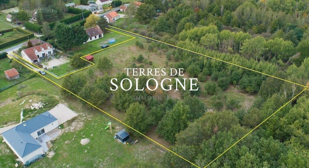 Terrain à MONTRIEUX-EN-SOLOGNE