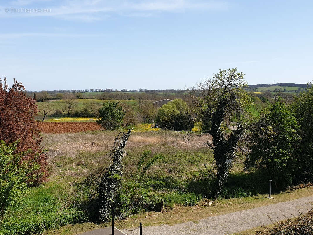 Terrain constructible - photo 3