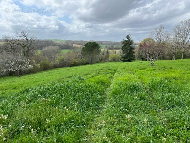 Maison à MONCRABEAU