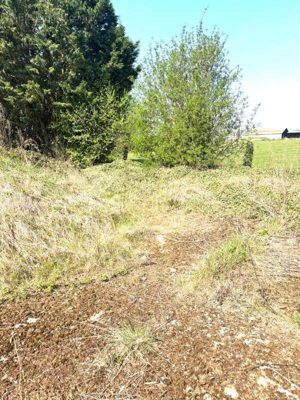 Terrain à MAREST-DAMPCOURT