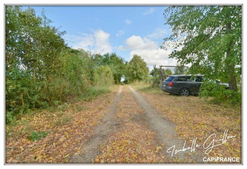 Propriété à vendre à Touchay : 2 maisons avec 4.5 hectares TOUCHAY (18) - photo 7