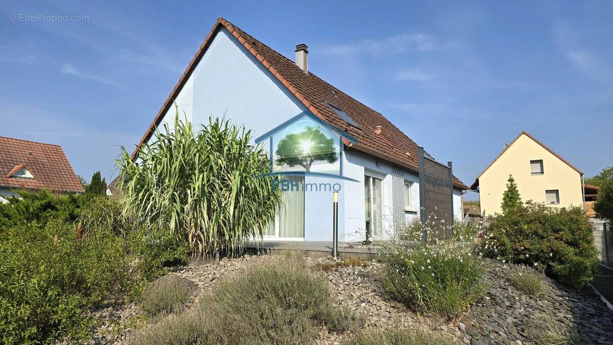 Mertzwiller (67) - maison 6 pieces 149 m² - photo 3