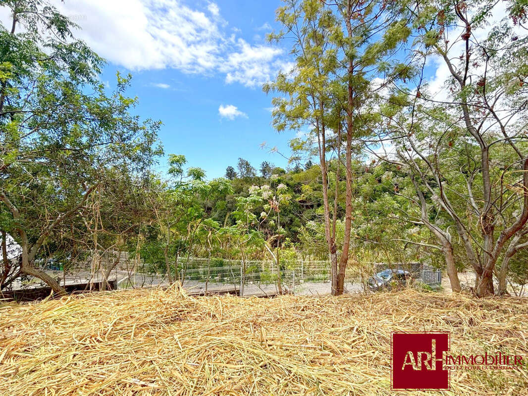 Terrain à SAINT-PAUL
