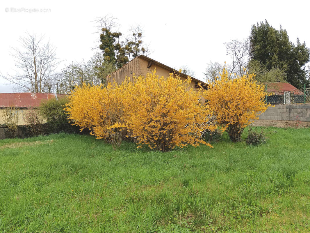 Maison à CEAUX-EN-COUHE