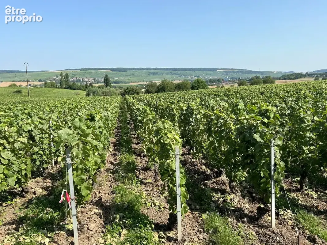 Terrain à CHAMERY