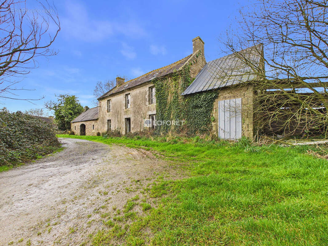 Maison à QUEMENEVEN