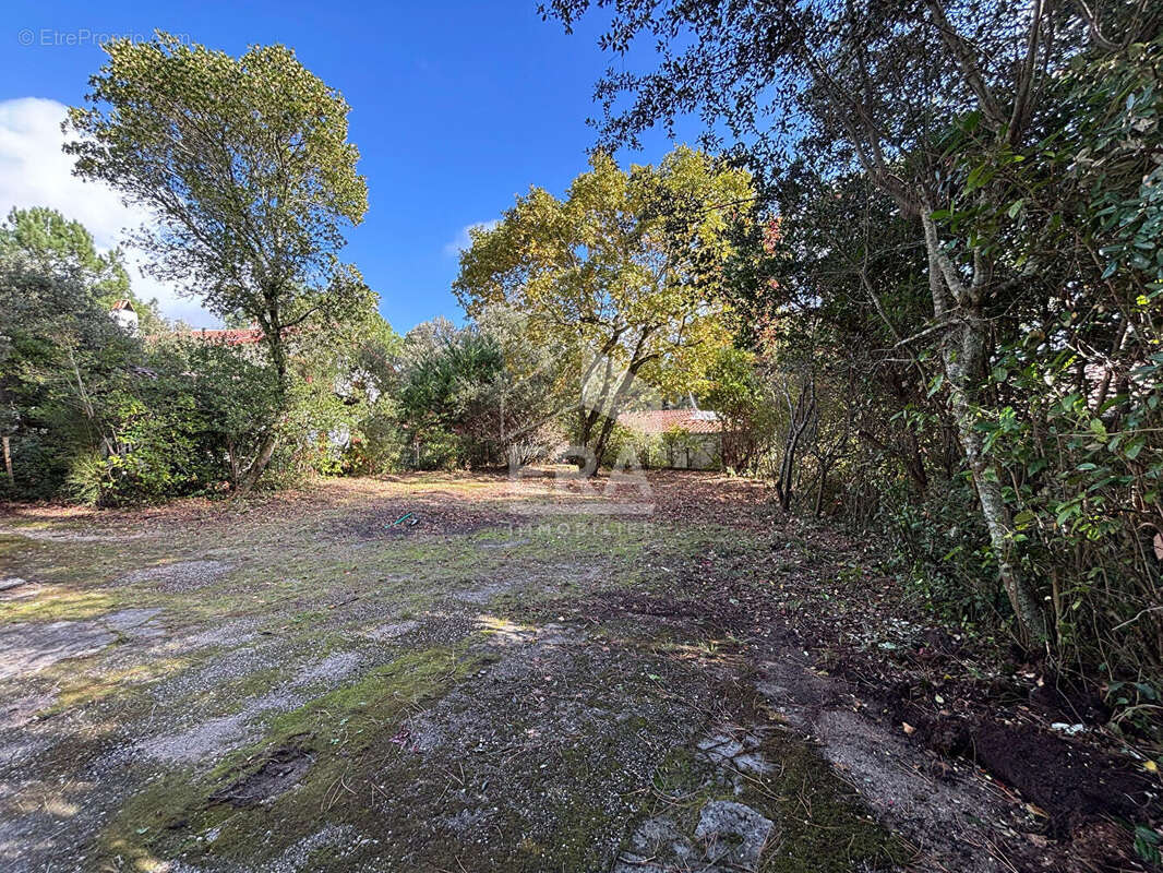 Maison à LE BOUSCAT