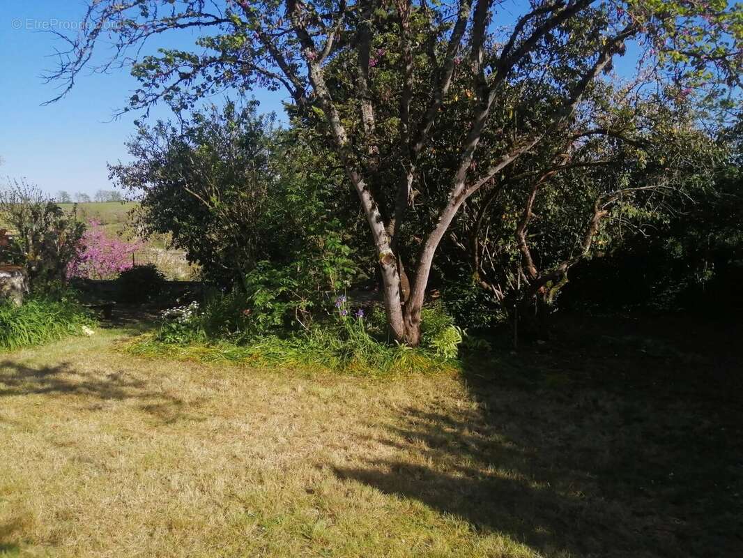 Maison à CAHUZAC-SUR-VERE