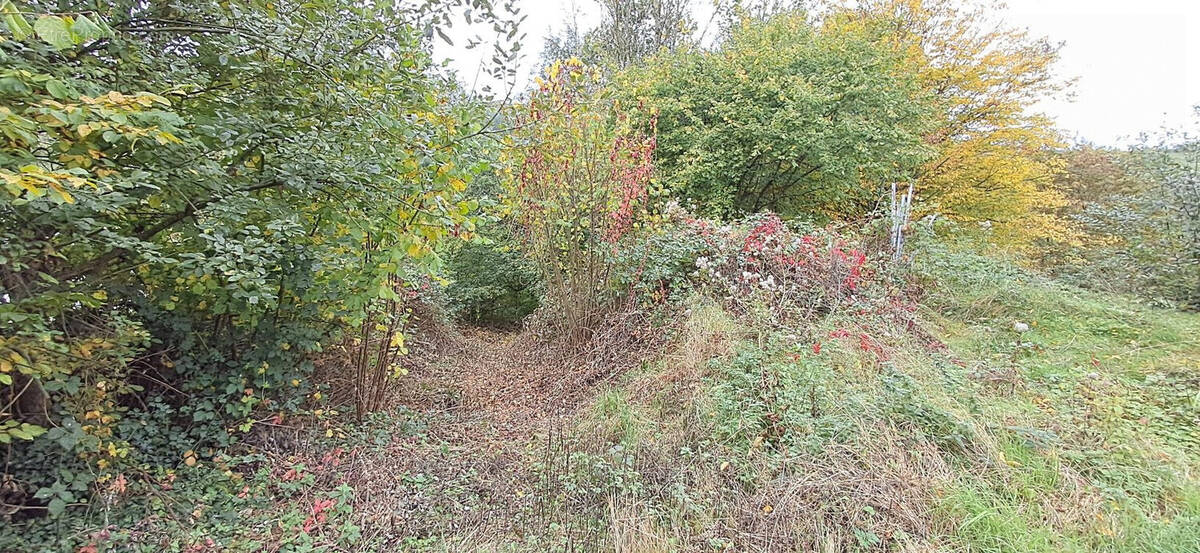 Terrain à BAZEILLES