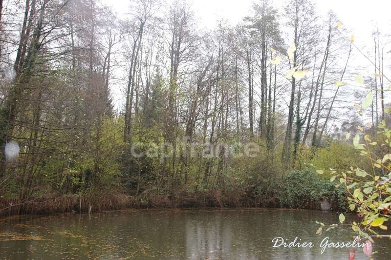 Terrain à vendre  GREEZ SUR ROC (72) - photo 4